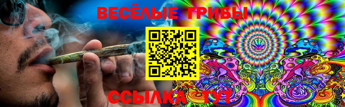 Псилоцибиновые грибы мицелий  Вход с VPN  Нефтекумск 